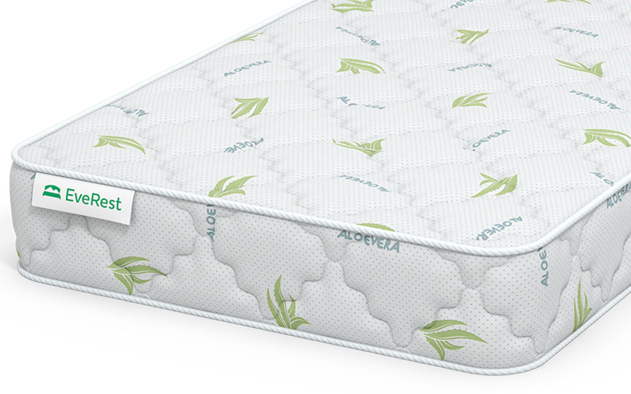 Everest Ту-Вэй Массаж бикокос S1000 фото 6